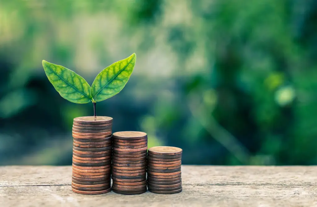 Green bonds: o que são, como funcionam e como sua empresa pode emitir